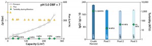 Figure 7: Results of DE body-feed scale-up experiment at reduced pH (5.0) with seven filter modules; filtration performance (left), pressure (bar), and flux (L/m2) as well as the course of turbidity during filtration; recovery of IgG1, blue columns (right) measured from crude harvest and harvest pool without buffer flush (pool 1), with buffer flush (pool 2), and after neutralization of harvest fluid (pool 3)