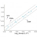 FIGURE 4: Polymerase chain reaction (PCR)–array assay showed that three out of 46 distinct genes related to hMSC identity and function appeared to be differently expressed in hPL-cultured and FBS-cultured cells.