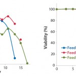 FIGURE 1: Viability cell densities and viabilities of CHO-S cells (Project 1) cultured in CD CHO medium and fed with EF-A, EF-B, or EF-C