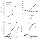 FIGURE 3: Titer, osmolality, base addition, and lactate profiles for project 2 show possible differences caused by the presence or absence of pH shift in the fed-batch process.