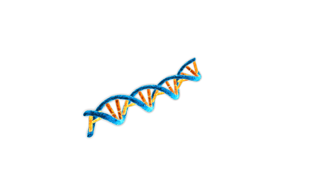 Boehringer_Sept_BPIDM