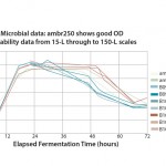 Figure 1: Optical density (OD) profiles of recombinant E. coli fermentation in the ambr250 bioreactor system, 15-L and 150-L fermentors