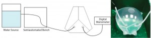 Figure 2: Water burst test with a filled bag chamber