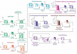 Figure 1:  Flow chart of an example MAb process