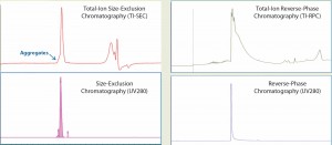 Figure 1: Total-ion (TI) size-exclusion chromatography (SEC, left) and reverse-phase chromatography (RPC, right) of MAb1 are listed in the upper panels, and their corresponding UV (280 nm) chromatograms are given in the lower panels. Both ultraperformance liquid chromatographic methods provide a single peak for mass analysis. But unlike RPC, the retention segment of an SEC peak would provide additional aggregate information.