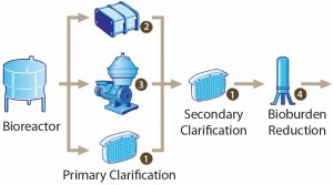 Figure 1:  Clarification process for mammalian cell culture