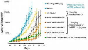 Figure 1: ADC efficacy is conjugation-site dependent.