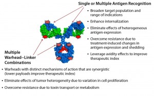 Figure 2: The next generation of ADCs will be homogeneous and multifunctional.