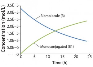 Figure 2: Reaction kinetics simulation for monoconjugation (using parameters from “Monoconjugation” section in the text)