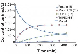 Figure 5: Experimental results for protein PEGylation and corresponding reaction kinetics model. Parameters used in the simulation are from Table 2.