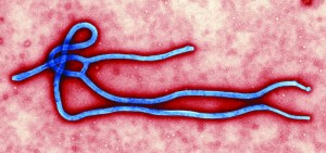 CDC - ebola