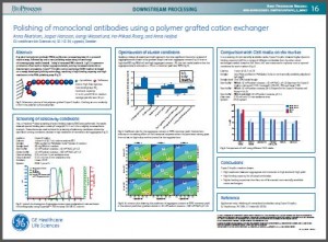 GE-Downstream-MAbpolish