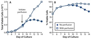 Figure 1: T-cell growth (a) and (b) viability were compared in 1-L rocking bioreactor cultures with (squares) and without (dots) media perfusion. 