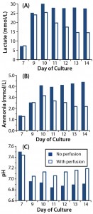 Figure 2: Effect of perfusion on metabolite accumulation in T-cell cultures; (a) lactate concentrations, (b) ammonia concentrations, and (c) pH were measured in T-cell cultures for which perfusion was enabled (p) or disabled (n). 