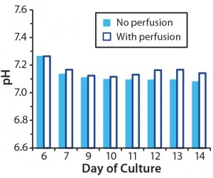 Figure 4a: Effect of controlling pH in T-cell cultures with and without perfusion; in cultures without perfusion, pH was maintained at a constant level through addition of NaOH. 