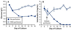 Figure 5: Effects of perfusion on growth-factor maintenance in T-cell cultures; (a) glucose and (b) IL-2 concentrations were measured in T cells cultured with perfusion enabled (p) or disabled (l). For IL-2, the graph shows mean and standard deviation of triplicate measurements. 