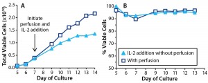 Figure 6: Effects of IL-2 addition in T cells cultured with perfusion (p) and without (). In cultures without perfusion, IL-2 was injected at 24-hour intervals. T-cell (a) growth and (b) viability were monitored throughout the culture period. 