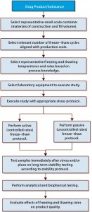 Figure 1: Small-scale study design considerations for evaluating various freezing and thawing process parameters  