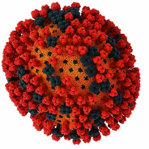  H1N1 influenza virus (WWW.VISUALSCIENCE.RU.COM) 