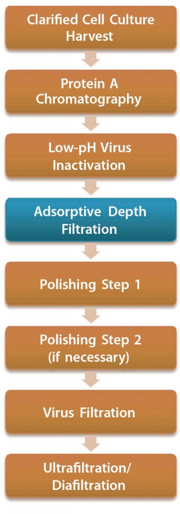 Figure 1: Antibody purification process with adsorptive depth filtration as a viral clearance step orthogonal to low-pH inactivation and virus filtration; the additional virus removal step in this process presumably enables replacement of anion-exchange chromatography as a polishing step while maintaining the virus safety of the process. Thus, a two-column purification process could be implemented (4, 9). 