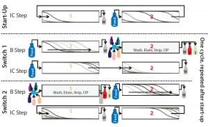 Figure 1: Schematic of the CaptureSMB process shows a start-up phase and two switches (one cycle). Outlet streams are W (weak/nonadsorbing components in the flow-through and during wash),  P (product component in the elution phase), and S (strong adsorbing component during the CIP phase) 