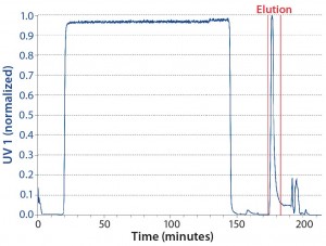 Figure 4: Chromatogram of the batch reference run; product collection pool limits are indicated by vertical red lines.  