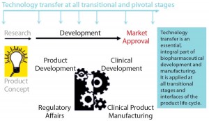 Figure 1: Technology transfer across the product development life cycle