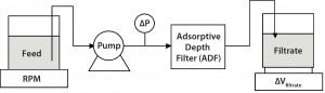 Figure 1: Diagram of experimental set-up used to assess adsorptive depth filtration (ADF) in MAb-A and MAb-B processes following protein A; in this diagram “ADF” refers to either the terminal ADF, ADF prefilter, or a filter train consisting of an ADF prefilter and ADF in series. Unless otherwise specified, flux onto an ADF is standardized to 100 L/m2/hour. 