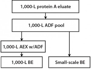 Figure 5: During a 1,000-L bioreactor purification run, material was taken for small- scale experiments to demonstrate the effect of ADF on impurities removal in the MAb-A process both with and without AEX.  