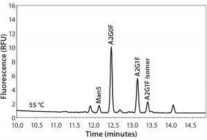 Figure 1: Typical electropherogram of a MAb glycan profile labeled with APTS and separated by CZE-LIF 