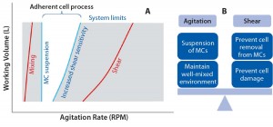 Figure 1: The operating window for microcarrier processes (a) and balance agitation and shear (b)