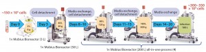 Figure 2: Optimized vaccine manufacturing process using adherent cells in single-use bioreactors (Vero, 200-L scale) (3)