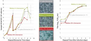 Figure 4: EB66 cell growth and morphology (left, center) and measles virus productivities (right) in Mobius 3-L and 50-L single-use bioreactors