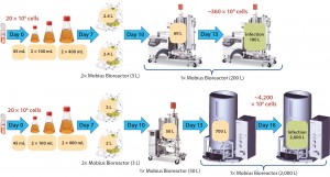 Figure 5: High-scale virus production process overview with Mobius single-use bioreactor systems; (top) suspension EB66 cells at 200-L scale; (bottom) same process at 2,000-L scale