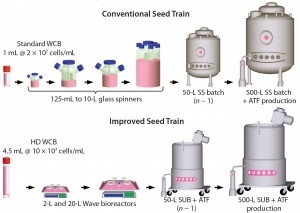 Figure 1: Comparing a conventional with an improved seed-train process for inoculation of a 500-L perfusion bioreactor; the new process uses high-density (HD) cell banking, single-use technology, and high-density perfusion at the n – 1 stage to allow for high-density inoculation in the production bioreactor. HD cell banking and disposables improve operational success by reducing seed-train complexity and contamination potential. HD perfusion at the n – 1 stage allows for HD inoculation of the production bioreactor, reducing the time to steady-state cell density by 4–5 days and increasing productivity by 10% for a 50-day run.