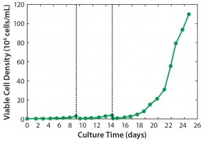 Figure 2: Viable cell density (VCD) profiles for a complete three-stage seed train