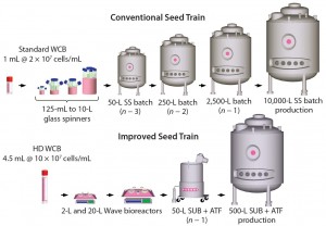 Figure 7: Comparing a conventional seed-train process to the future seed-train process for inoculation of a 10,000-L batch or fed-batch bioreactor; the future seed-train process uses high-density cell banking, disposables, and high-density perfusion at the n – 1 stage to eliminate two large-volume seed-train stages.