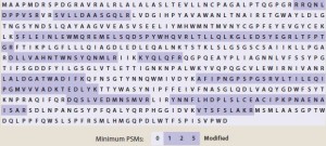 Table 1: SYPRO Ruby stained bands were excised and digested with trypsin; the resulting peptides were analyzed by mass spectrometry. The coverage plot maps identified peptides of PLBL2 to the highest database hit.   Coverage: 195/585 (33%)