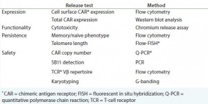 Table 3: Immunophenotyping of the EOP 1928z transduced T cells (14)