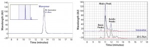 Figure 9: Purity measured by size-exclusion high-performance liquid chromatography (SEC-HPLC) and charge variants measured by capillary isoelectric focusing (cIEF) from Cook Pharmica’s 20-L run compared with the innovator molecule 