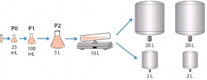 Figure 2: Cell culture process design for 2-L and 20-L studies 