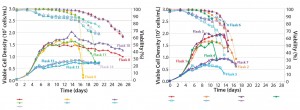 Figure 4: Media screening with temperature shift (left); media screening with no temperature shift (right) 