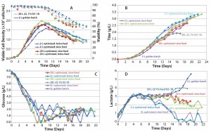 Figure 8: Cell culture process optimized scale-up; (a) VCD and viability, (b) titer, (c) glucose profile, and (d) lactate profile 