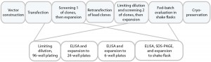 Figure 1a: Cell-line development process used herein, with clone selection in 96-well and expansion to 6-well plates performed manually. 