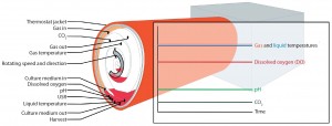 Figure 1: The BoB control strategy; at the onset of a cell-culture process, rotation speed is kept to a minimum to facilitate cell attachment to the culture surface. Once cells have attached themselves, rotation is set to process speed. As the cell population grows, increasing metabolic demand will force a higher culture-medium replacement rate to maintain constant pH. Deviation of CO2 concentration in the gaseous phase and/or dissolved oxygen (DO) in the liquid phase will trigger forced circulation of the gas mixture. Gas flow and the heating jacket will thermostat the system in response to variations from the temperature set point of the liquid and gaseous phases. Excess medium accumulated in the lower part of the culture chamber will act as a buffering system for medium temperature and composition. A user-defined parameter can provide additional process control. The simplified version of the rolled membrane shown here includes only three turns, but many more layers will be found in a real system (2). 