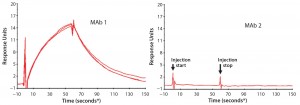 Figure 6: Representative surface plasmon resonance (SPR) sensograms showing reversible binding between 1 μM PLBL2 and immobilized MAb biotherapeutics; (left) MAb 1, with which PLBL2 tends to copurify, shows positive binding. Multiple traces in the MAb 1 panel show measurement reproducibility with independent MAb 1 preparations (lots), each of which was made with the new process and is free of copurifying PLBL2. But the positive interaction of PLBL2 and the antibody remains a property of the antibody. (right) MAb 1, with which PLBL2 does not copurify, does not respond in the sensogram, showing that this antibody does not exhibit the PLBL2 binding properties of MAb 2.    (* sample start) 