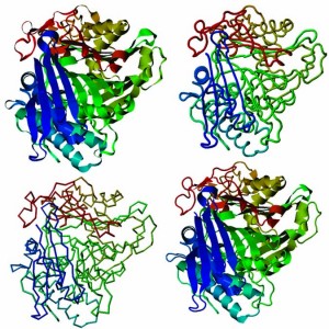 PLBL2 models from PSI, the online protein model portal WWW.PROTEINMODELPORTAL.ORG 