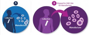 Technology transfer moves a process into a different environment and as a result, the product should be properly defined before the transfer is initiated. Before technology transfer, raw biological material collection (e.g., bone marrow, apheresis) and manufacture may be colocated, typically at a clinical site (a). Following technology transfer, clinical and manufacturing sites are no longer in close proximity (b).