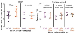 Figure 2: Mean recovery is compared for paired PBMCs isolated immediately or 24 hours after phlebotomy using traditional Ficoll and SepMate methods (left), (n = 6). Mean recovery post cryopreservation is compared for paired PBMCs isolated immediately or 24 hours after phlebotomy for cells thawed in a water bath and using the ThawSTAR System (right) (n = 3).