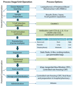 Figure 2: Exemplar immunotherapy bioprocess